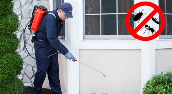 Abana Gümüşkurt İlaçlama böcek ilaçlama ve haşere kontrolü — ilaclama-tr.com